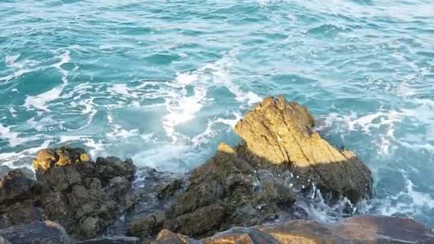 Klares Und Blaues Wasser Der Ägäis Für Touristen Die Den — Stockvideo