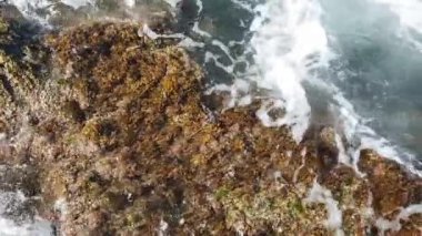 Yaz tatilini ve denizi seven turistler için Ege Denizi 'nin berrak ve mavi suları