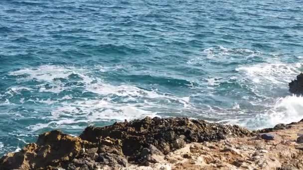 Yaz Tatilini Denizi Seven Turistler Için Ege Denizi Nin Berrak — Stok video