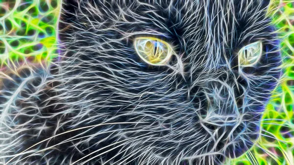 Fractal Konst Närbild Katt Porträtt Naturen — Stockfoto