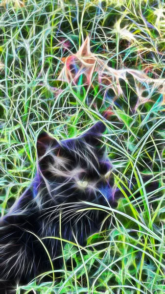Fractal Art Close Cat Portrait Nature — Stock Photo, Image