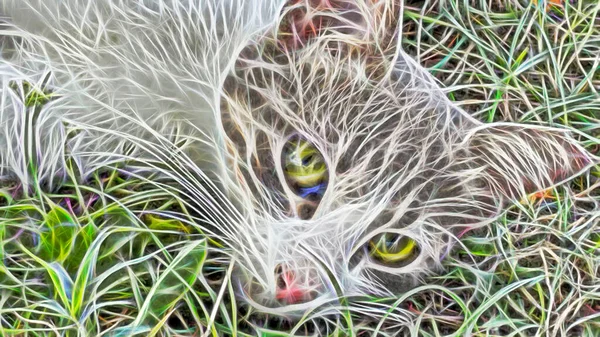 Fraktal Sanat Doğadaki Kedi Portresini Kapat — Stok fotoğraf