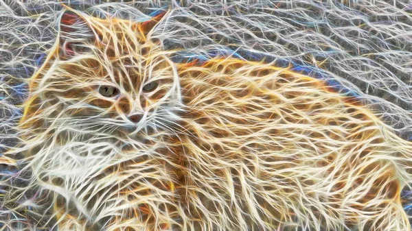 分形艺术 在大自然中密切关注猫的肖像 — 图库照片
