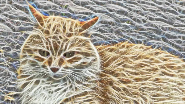 Fraktale Kunst Katzenporträt Aus Nächster Nähe Der Natur — Stockfoto