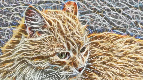 Arte Fractal Close Retrato Gato Natureza — Fotografia de Stock