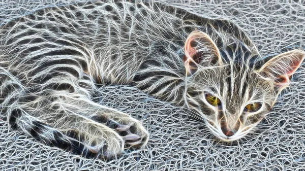 Fraktale Kunst Katzenporträt Aus Nächster Nähe Der Natur — Stockfoto