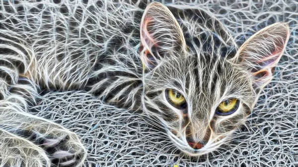 Arte Fractal Primer Retrato Gato Naturaleza —  Fotos de Stock