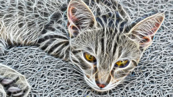 Fractal Konst Närbild Katt Porträtt Naturen — Stockfoto