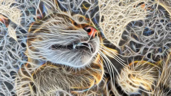 Arte Fractal Primer Retrato Gato Naturaleza — Foto de Stock