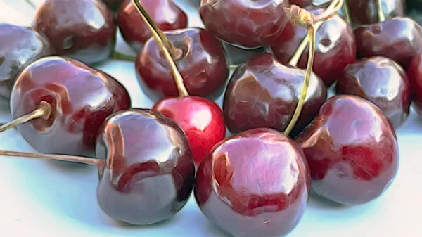 Fruit Summer Season Cherries — Stock Photo, Image