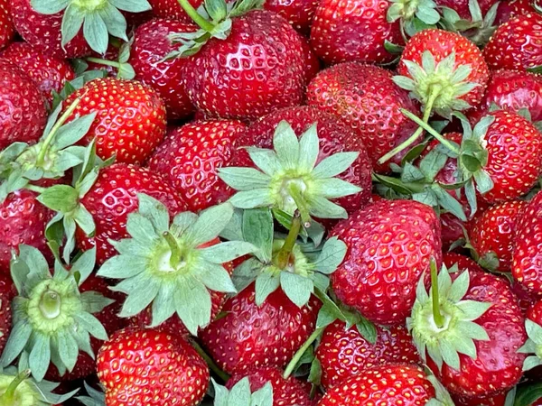 Close Aardbeien Marktkraam — Stockfoto