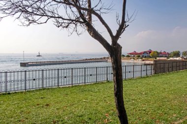 Türkiye - 29 Ağustos 2021 Fenerbahe Parkı 'nın yeşil doğası İstanbul' un Asya tarafında yer alıyor.. 