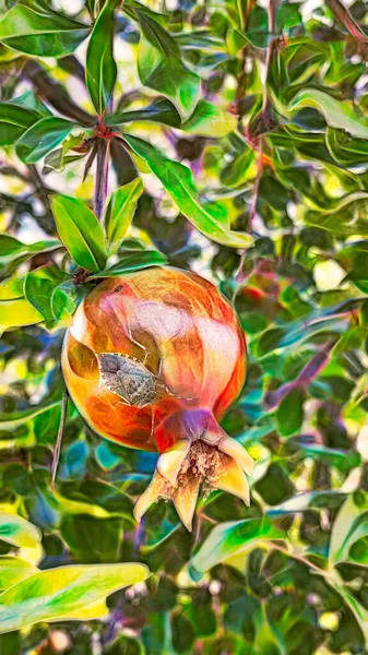 フラクタルアート 緑の葉と果実のあるザクロの木自然 — ストックベクタ
