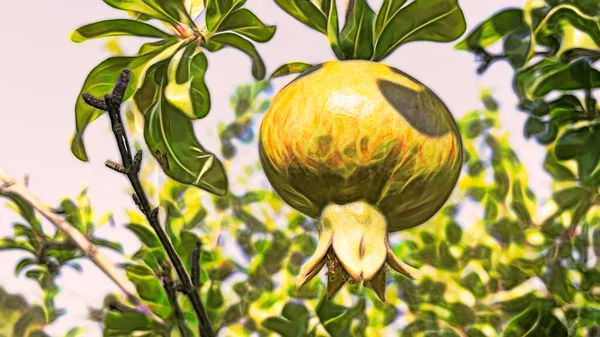 Φράκταλ Τέχνη Ρόδι Πράσινα Φύλλα Και Φρούτα Στη Φύση — Διανυσματικό Αρχείο