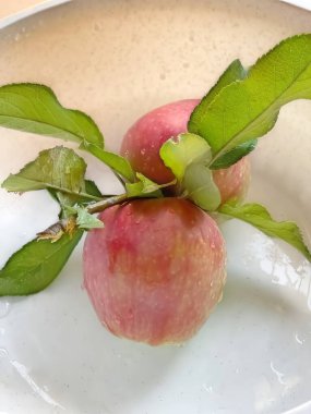 Sonbahar ve kışın vazgeçilmez ve vitamin dolu meyvesi, elmalar