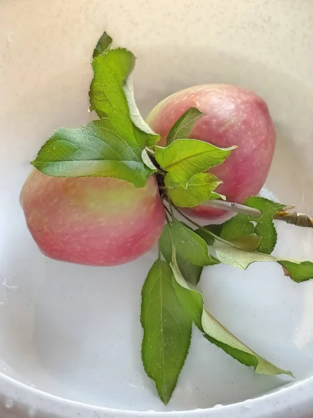 Den Oumbärliga Och Vitaminfyllda Frukten Höst Och Vinter Äpplen — Stockfoto