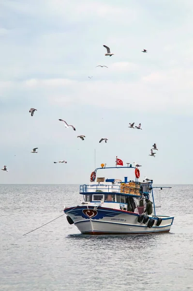 İstanbul, Türkiye-Ağustos 2021 Marmara denizi ve teknelerinin yaz günündeki sabah manzarası.