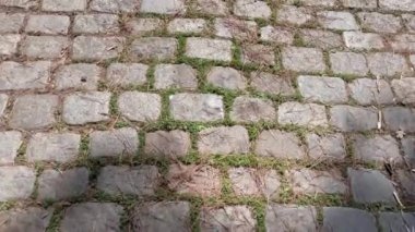 Doğadaki taşlı yolda yürüyorum.