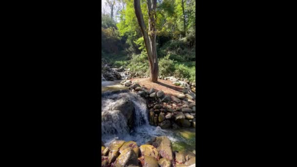 Air Terjun Dan Air Yang Mengalir Atas Batu Alam — Stok Video