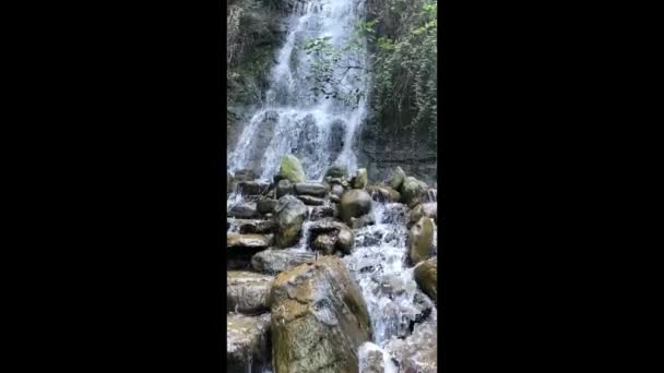 自然界の岩の上を流れる滝や水は — ストック動画