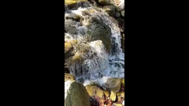 Cascada Agua Que Fluye Sobre Rocas Naturaleza — Vídeo de stock