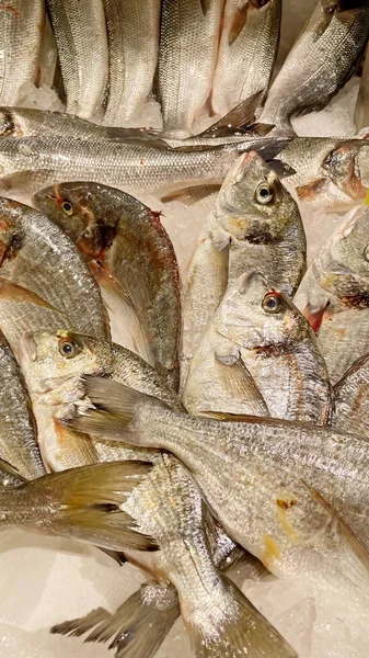 Pronto Para Venda Frutos Mar Balcão Pescador — Fotografia de Stock