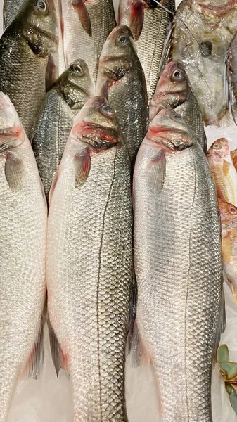 Pronto Para Venda Frutos Mar Balcão Pescador — Fotografia de Stock