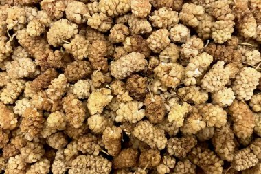 Kurutulmuş Beyaz Dut Kapalı Arkaplan Dokusu.Doğal kurutulmuş beyaz dut (kuru dut), sağlıklı bir süper yiyecek atıştırmalığı ve kırsal arka plan dokusu detaylarıyla detaylandırılmıştır. Altın, tatlı ve besleyici meyveler..