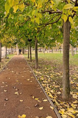 Sonbahar mevsiminde Marmara Sahili 'nde sonbahar yolu. Sonbaharda İstanbul' da bir parkta, düşmüş sarı yapraklar ve Marmara sahili manzaralı huzurlu bir yürüyüş..