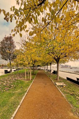 Sonbahar mevsiminde Marmara Sahili 'nde sonbahar yolu. Sonbaharda İstanbul' da bir parkta, düşmüş sarı yapraklar ve Marmara sahili manzaralı huzurlu bir yürüyüş..