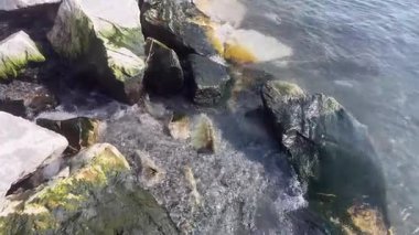 Berrak Su ve Dalgalar Kıyı Kayalıkları 'na çarpan Rocky Sahil Kıyısı. Doğal güneş ışığı altındaki engebeli bir sahil şeridinde dalgaların yavaşça çarpmasıyla yosunlu kayaların arasından akan berrak deniz suyu..