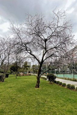 Atakoy, İstanbul, Türkiye. 27 Şubat 2026.Ramazan Yesil Parkı, Atakoy, İstanbul.İstanbul 'un Atakoy ilçesinde yürüyüş yolları, çocuk oyun alanları ve yeşil kentsel alanların yer aldığı modern bir halk parkı..