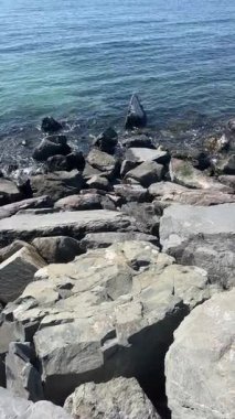 Rocky Shoreline 'a dalgalar çarpıyor. Açık turkuaz okyanus suyu güneşli bir günde koyu gri kıyı kayalarının üzerine hafifçe sıçrıyor. Doğal kayalık bir plajın yüksek açılı görüntüsü.