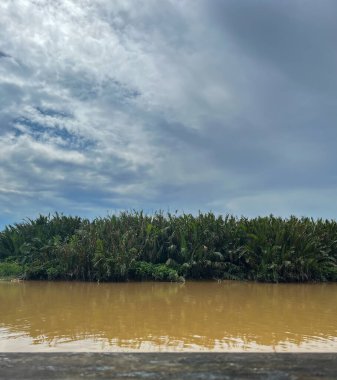Çamurlu suyla tropikal nehir yoğun Nipa kadın bitki örtüsünü geçiyor dramatik bulutlu bir gökyüzü altında.