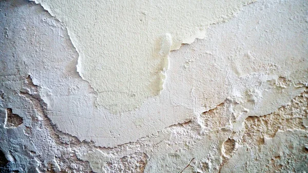 Duvarlar nemli ve küflü, küflü duvarlar, duvar boyası dökülüyor.,