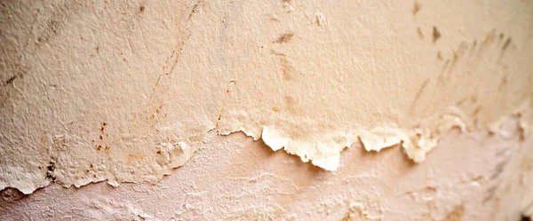 damp and mildew on the walls, moldy walls, wall paint flaking,