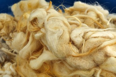 Yaklaş, temiz koyun yünü.,