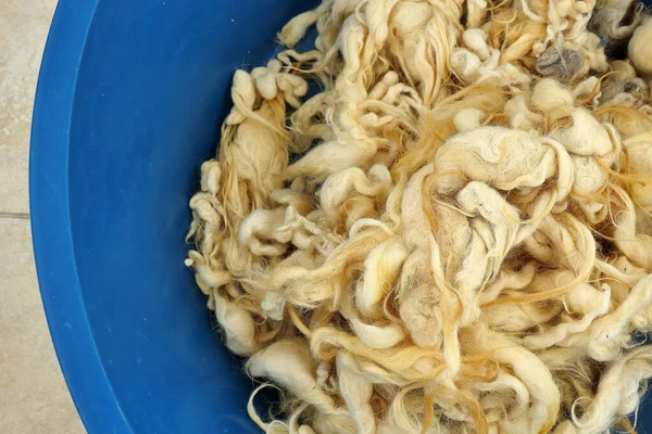 natural and pure sheep wool, washed cleaned sheep wool,close up, clean sheep wool,