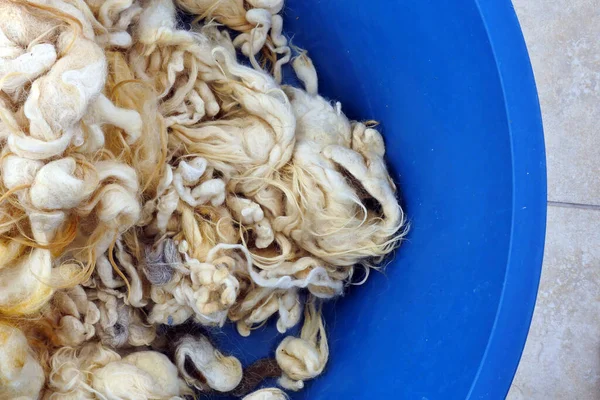 Temiz koyun yünü, yastık yapmak için koyun yünü.,