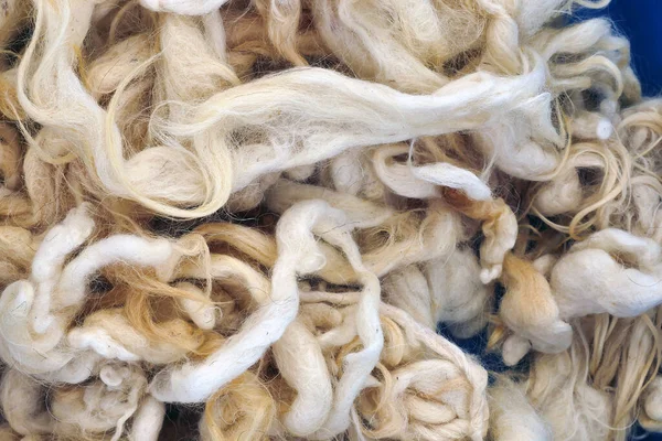 Close Clean Sheep Wool Pure Natural Sheep Wool Healthy Pillow — Stock Photo, Image