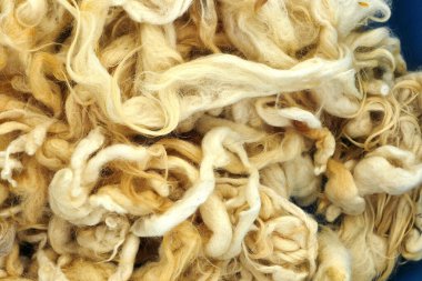 Yün yastık ve yorgan için koyun yünü,