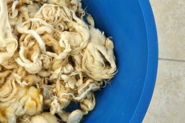 Temiz koyun yünü, yastık yapmak için koyun yünü.,