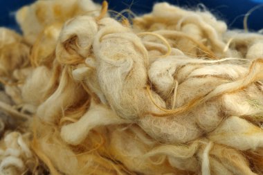 Sağlıklı yastık ve yorgan için doğal koyun yünü.,