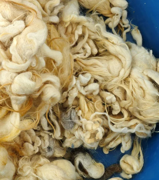 sheep wool for wool pillow and quilt,