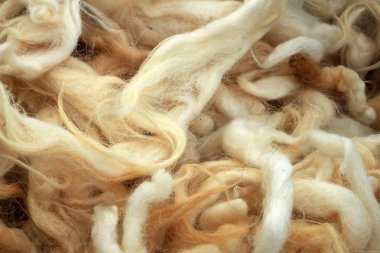 Yakın çekim, temiz koyun yünü, sağlıklı yastık ve yorgan için doğal koyun yünü.,