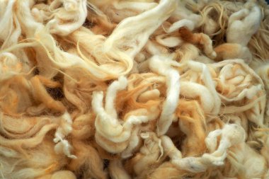 Yün yastık ve yorgan için koyun yünü,