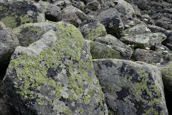 Historia Fragmentos Roca Muy Viejos Rocas Musgosas — Foto de Stock