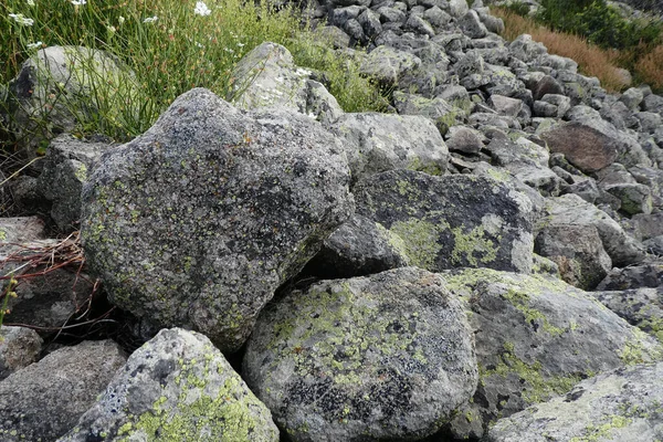Tarih Çok Eski Kaya Parçaları Yosunlu Kayalar — Stok fotoğraf