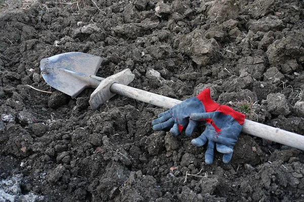 hoeing the garden, garden shovel and work gloves,