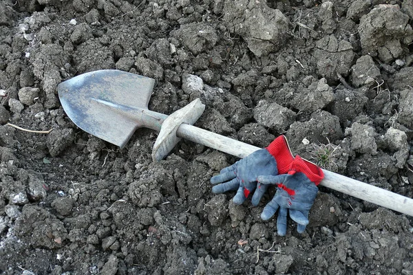 庭や庭のシャベルや作業用手袋を持ち — ストック写真